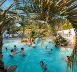 piscine derrière un palmier au camping Biper Gorri