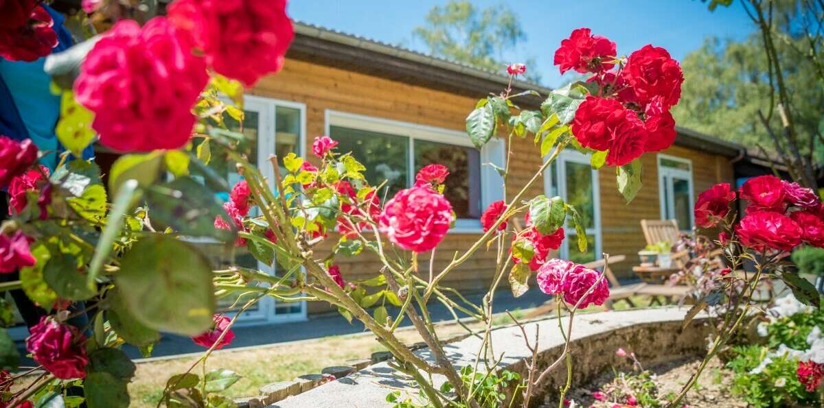 fleures roses devant un jolie mobil home du camping Les Chanterelles