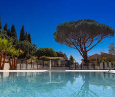 reflet d'un grand arbre sur la piscine extérieure du camping Domaine de Miremer