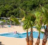 vue sur les palmiers devant la piscine extérieure du camping Domaine de Miremer