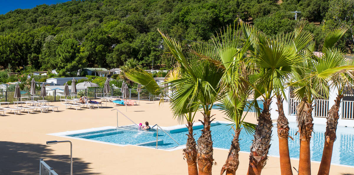 vue sur les palmiers devant la piscine extérieure du camping Domaine de Miremer