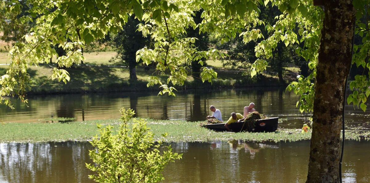 petite barque sur l'étang à proximité du Camping Paradis Les Etangs de Plessac