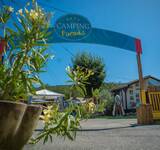 fleurs et proche du Camping Paradis Family des Issoux