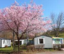 mobil-homes sous le soleil au Camping Paradis Giessen