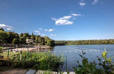 lac à proximité du Camping Lac d'Aydat