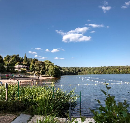 camping dans la nature au bord d'un lac