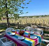 terrasse d'un mobil home avec vue sur les vignes au camping Le Pressoir