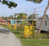 Allé du camping les galets de la molliere