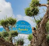 porche d'arrivée au Camping Paradis l'Orangeraie