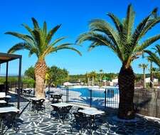 terrasse et palmiers avec vue sur la piscine extérieure du camping L'Orangeraie