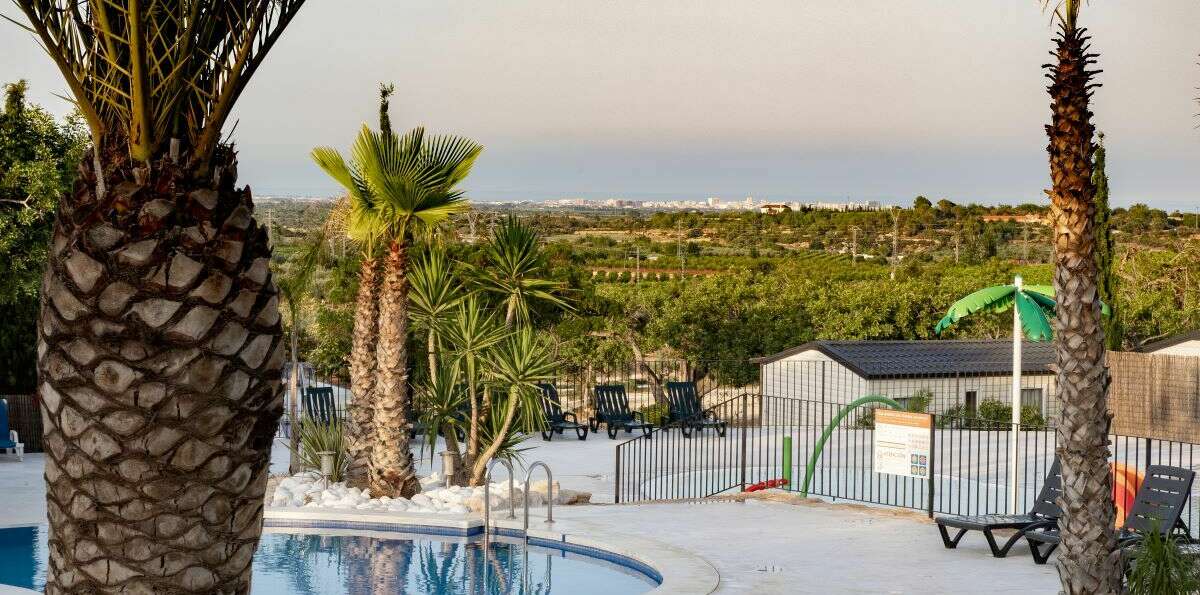 piscine extérieure et palmiers au Camping Paradis l'Orangeraie en Espagne