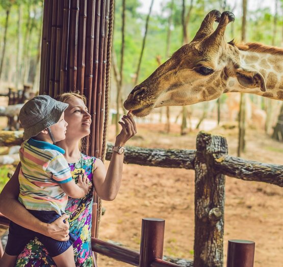 Famille heureuse nourrissant une girafe au zoo 