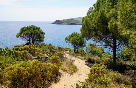 Plage de Vermeille