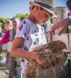 enfant avec une poule