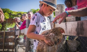 enfant avec une poule